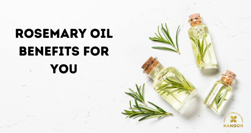 Rosemary Benefits For You